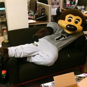 Image post by @chipthebuffalo on Instagram