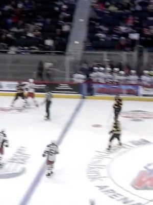 Image post by @hockeyfights on Instagram