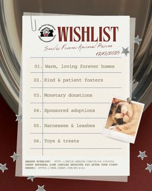 Image post by @smilesforeveranimalrescue on Instagram