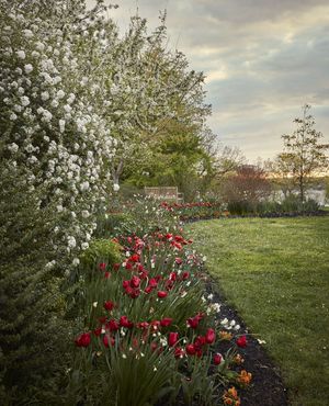 Image post by @ahs_gardening on Instagram