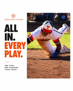 Image post by @rawlingstigers on Instagram