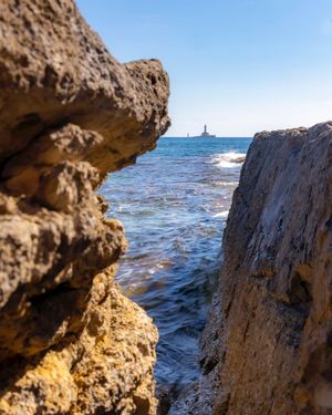 Image post by @cristan.nature.photography on Instagram