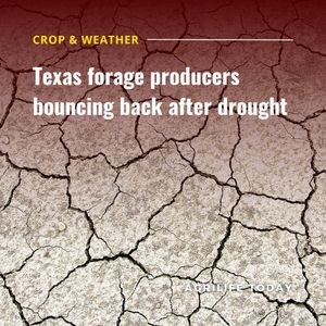 Image post by @txextension on Instagram