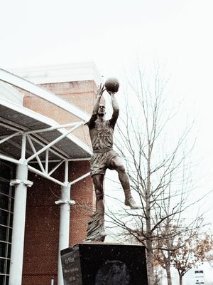 Image post by @gamecockwbb on Instagram