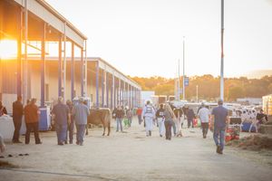 Image post by @wdexpo on Instagram