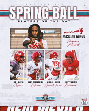 Image post by @unmlobofb on Instagram