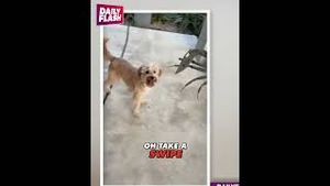 Video post by @dailyflashtv on YouTube