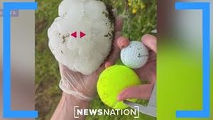 Video post by @newsnation on YouTube