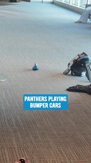 Video post by @panthers on TikTok