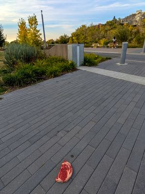 Image post by @cmcalgary on Instagram