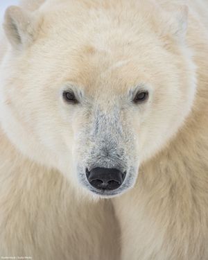 Image post by @oceana on Instagram