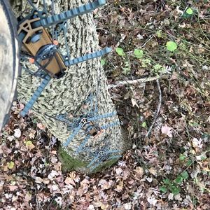 Image post by @thehuntingchallenge on Instagram