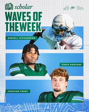 Image post by @greenwavefb on Instagram