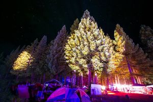 Image post by @nnmfestival on Instagram