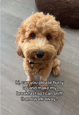 Video post by @tedflixnchill on TikTok