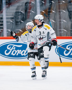 Image post by @swissicehockeyfederation on Instagram