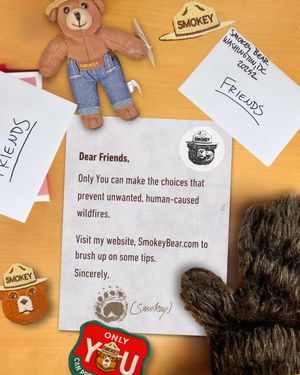 Image post by @smokeybear on Instagram