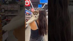 Video post by @gracefkim on YouTube