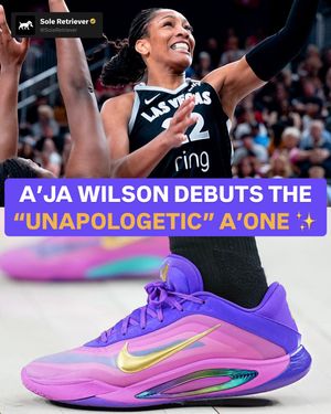 Image post by @soleretriever on Instagram
