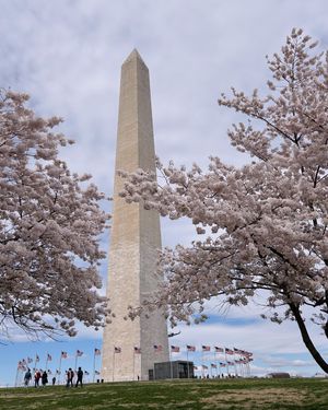 Image post by @nationalparktrust on Instagram
