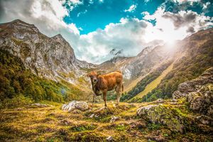 Image post by @jaumeboldu on Instagram