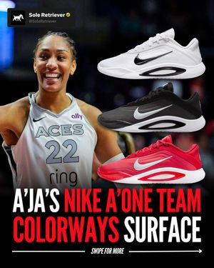 Image post by @soleretriever on Instagram