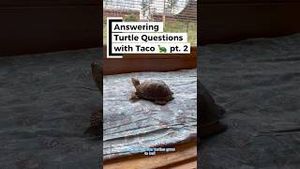 Video post by @Penn State University on YouTube