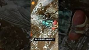 Video post by @cbsmornings on YouTube