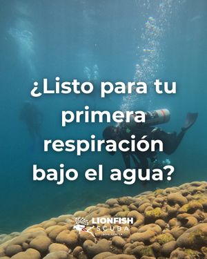 Image post by @lionfishscuba on Instagram