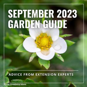 Image post by @txextension on Instagram