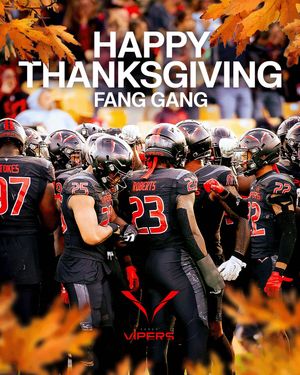 Image post by @xflvipers on Instagram