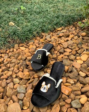 Image post by @pantudog on Instagram