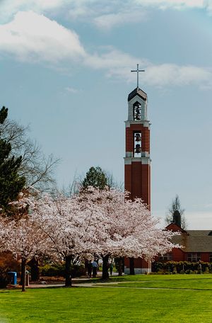 Image post by @PortlandPilots on Twitter
