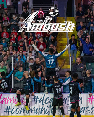 Image post by @stlouisambush on Instagram
