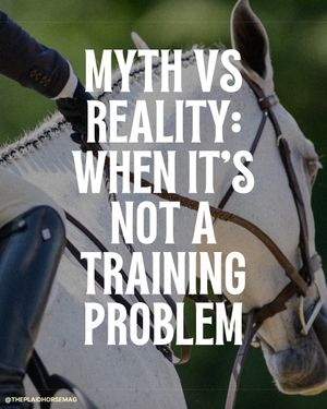 Image post by @theplaidhorsemag on Instagram