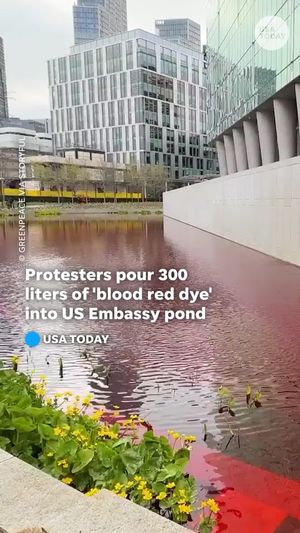 Video post by @usatoday on TikTok