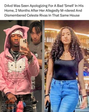 Image post by @nojumper on Instagram