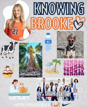 Image post by @hopecollegevolleyball on Facebook