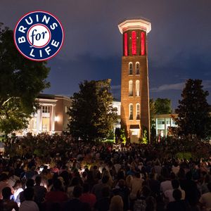 Image post by @BelmontUniv on Twitter