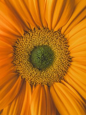 Image post by @unsplash on Instagram
