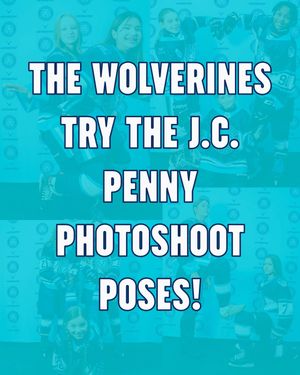 Image post by @tnwolverines on Instagram