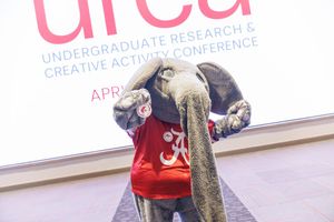 Image post by @univofalabama on Instagram