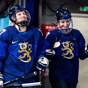 Image post by @leijonatfi on Instagram