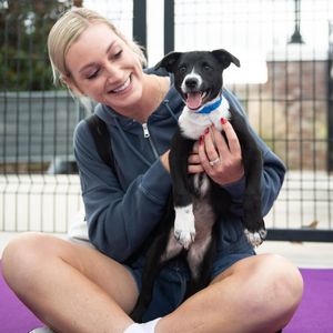 Image post by @orlpride on Instagram