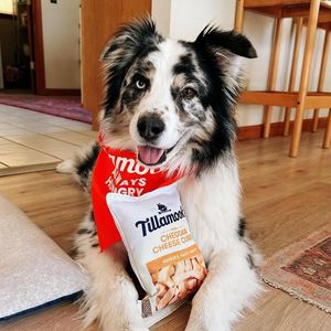 Image post by @Tillamook County Creamery Association on Facebook