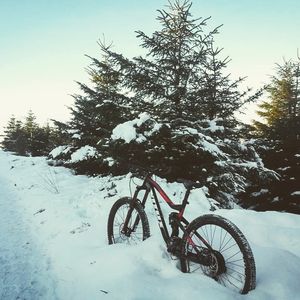 Image post by @vitusbikes on Instagram