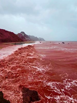 Image post by @travelgardi on Instagram