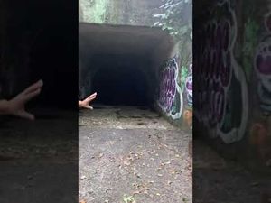 Video post by @SeanMillea on YouTube