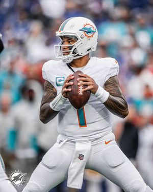 Image post by @dolphins_br on Instagram