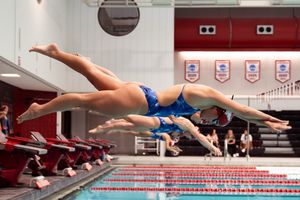 Image post by @razorbackswimdive on Instagram